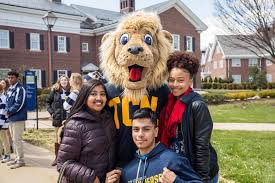 Multicultural Fair 2019 link to webpage